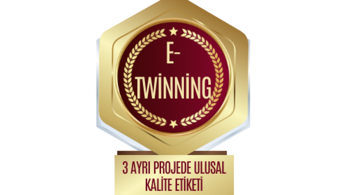 E-TWİNNİNG BAŞARIMIZ